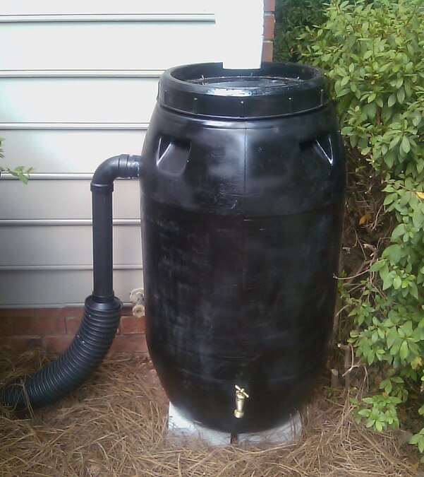 Rain Water Barrel